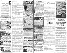 Better Homes & Gardens February 1936 Magazine Article: Page 100