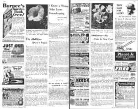 Better Homes & Gardens February 1936 Magazine Article: Page 102