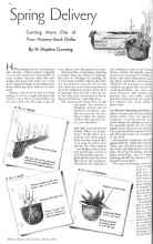 Better Homes & Gardens March 1936 Magazine Article: Spring Delivery