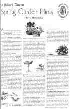 Better Homes & Gardens March 1936 Magazine Article: Spring Garden Hints