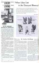 Better Homes & Gardens March 1936 Magazine Article: 