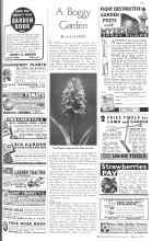 Better Homes & Gardens March 1936 Magazine Article: A Boggy Garden