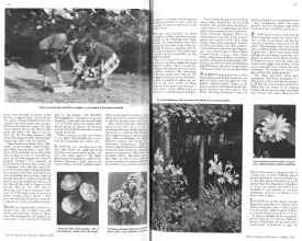 Better Homes & Gardens March 1936 Magazine Article: Page 14