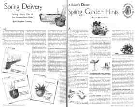 Better Homes & Gardens March 1936 Magazine Article: Page 16