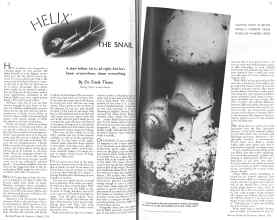 Better Homes & Gardens March 1936 Magazine Article: HELIX THE SNAIL
