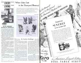 Better Homes & Gardens March 1936 Magazine Article: Page 52
