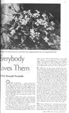 Better Homes & Gardens April 1936 Magazine Article: Everybody Loves Them