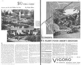Better Homes & Gardens April 1936 Magazine Article: Page 132