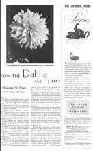 Better Homes & Gardens May 1936 Magazine Article: NOW THE Dahlia HAS ITS DAY
