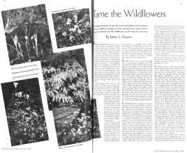 Better Homes & Gardens May 1936 Magazine Article: Page 20