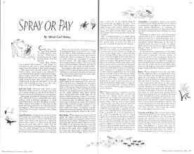 Better Homes & Gardens May 1936 Magazine Article: SPRAY OR PAY
