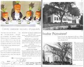 Better Homes & Gardens May 1936 Magazine Article: Page 38