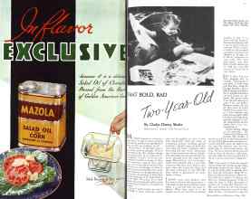 Better Homes & Gardens May 1936 Magazine Article: Page 74