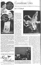 Better Homes & Gardens June 1936 Magazine Article: Considerate Lilies