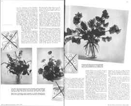 Better Homes & Gardens June 1936 Magazine Article: Page 14