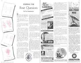Better Homes & Gardens June 1936 Magazine Article: POPPING THE Rose Questions