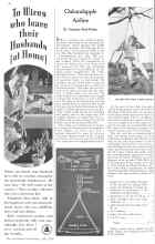 Better Homes & Gardens July 1936 Magazine Article: Oakandapple Airline