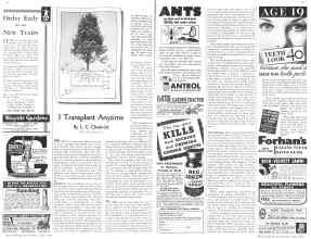 Better Homes & Gardens July 1936 Magazine Article: I Transplant Anytime