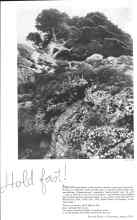 Better Homes & Gardens August 1936 Magazine Article: Hold fast! STRENGTH and beauty in this seashore vacation scene