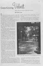 Better Homes & Gardens September 1936 Magazine Article: Green-Growing Velvet