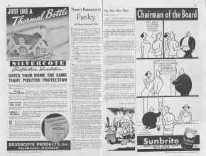 Better Homes & Gardens September 1936 Magazine Article: Page 48
