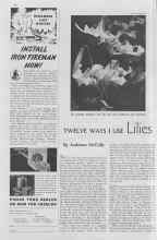 Better Homes & Gardens October 1936 Magazine Article: TWELVE WAYS I USE Lilies