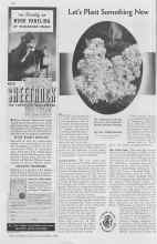 Better Homes & Gardens October 1936 Magazine Article: Let's Plant Something New