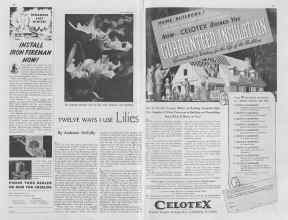 Better Homes & Gardens October 1936 Magazine Article: Page 46