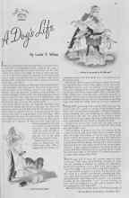 Better Homes & Gardens November 1936 Magazine Article: A Dog's Life