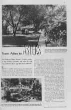 Better Homes & Gardens December 1936 Magazine Article: From Ashes to ASTERS