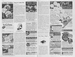 Better Homes & Gardens December 1936 Magazine Article: ALONG THE GARDEN PATH