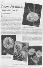 Better Homes & Gardens January 1937 Magazine Article: New Annuals THAT MADE GOOD