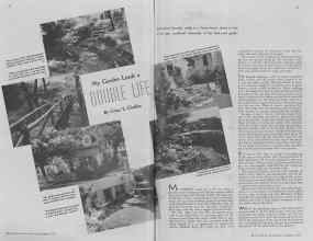 Better Homes & Gardens January 1937 Magazine Article: My Garden Leads a DOUBLE LIFE
