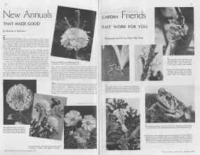 Better Homes & Gardens January 1937 Magazine Article: Page 36