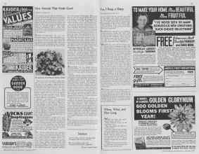 Better Homes & Gardens January 1937 Magazine Article: Page 68