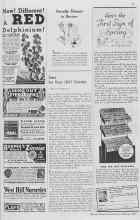 Better Homes & Gardens February 1937 Magazine Article: Novelty Flowers in Review
