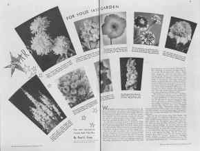 Better Homes & Gardens February 1937 Magazine Article: STARS FOR YOUR 1937 GARDEN