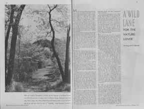 Better Homes & Gardens February 1937 Magazine Article: Page 20