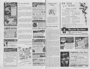 Better Homes & Gardens February 1937 Magazine Article: Page 100