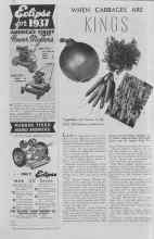 Better Homes & Gardens March 1937 Magazine Article: WHEN CABBAGES ARE KINGS