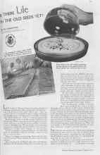 Better Homes & Gardens March 1937 Magazine Article: IS THERE Life IN THE OLD SEEDS YET?