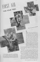Better Homes & Gardens March 1937 Magazine Article: FIRST AID FOR YOUR TREES