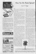 Better Homes & Gardens March 1937 Magazine Article: How Far Do Roots Spread?
