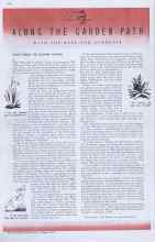 Better Homes & Gardens March 1937 Magazine Article: ALONG THE GARDEN PATH WITH THE WEEK-END GARDENER