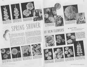 Better Homes & Gardens March 1937 Magazine Article: SPRING SHOWER OF NEW FLOWERS