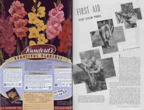 Better Homes & Gardens March 1937 Magazine Article: Page 110