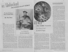 Better Homes & Gardens March 1937 Magazine Article: Page 126