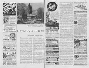 Better Homes & Gardens March 1937 Magazine Article: FLOWERS of the BIBLE