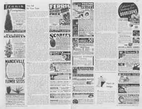Better Homes & Gardens March 1937 Magazine Article: Page 142