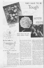 Better Homes & Gardens April 1937 Magazine Article: THEY HAVE TO BE Tough